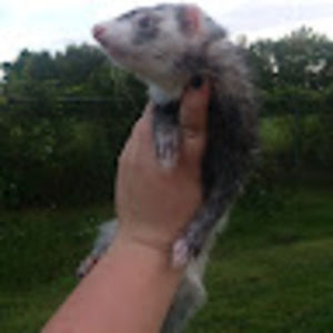 Meet your Posher, Katelyn